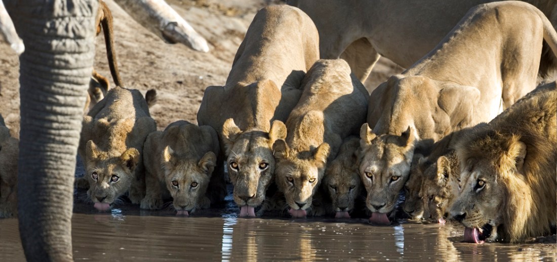 003314-SB1 - cropped