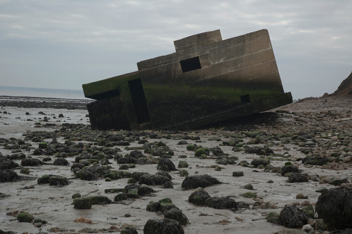 BronwenBuckeridge_The-Sorrowful-and-Immaculate-Fall-of-One-Hundred-Grazing-Sheep_2014