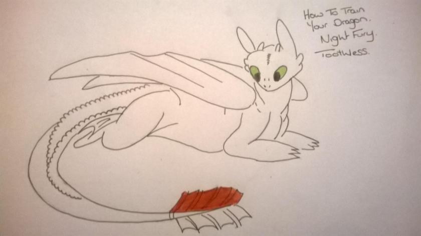 9 HOW TO DRAW TOOTHLESS FROM HOW TO TRAIN YOUR DRAGON 1
